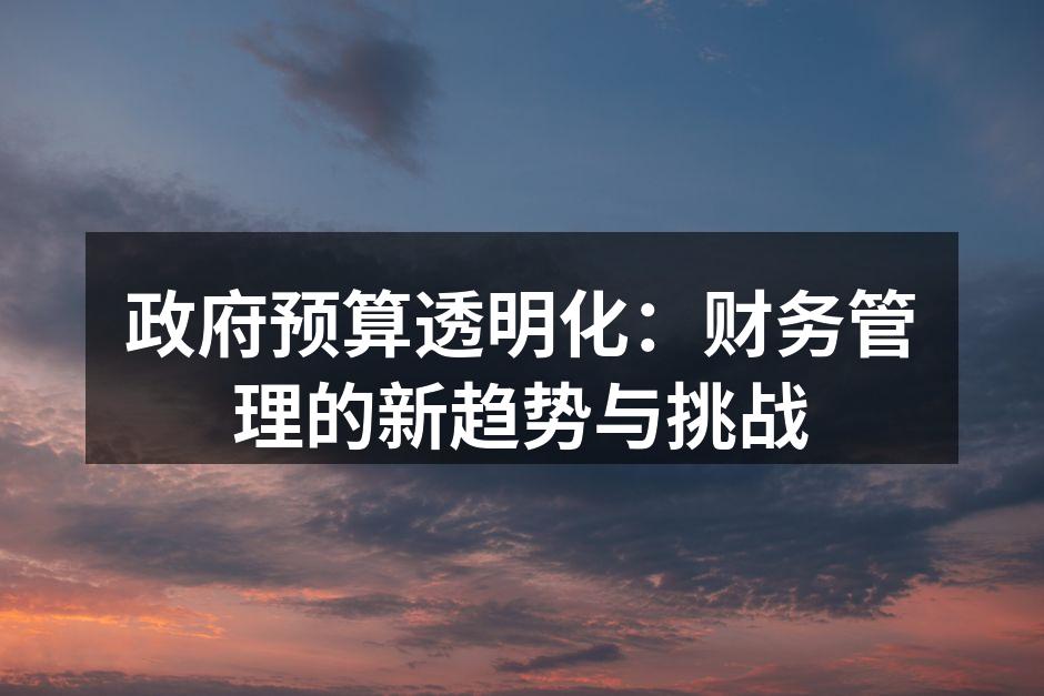 政府预算透明化：财务管理的新趋势与挑战