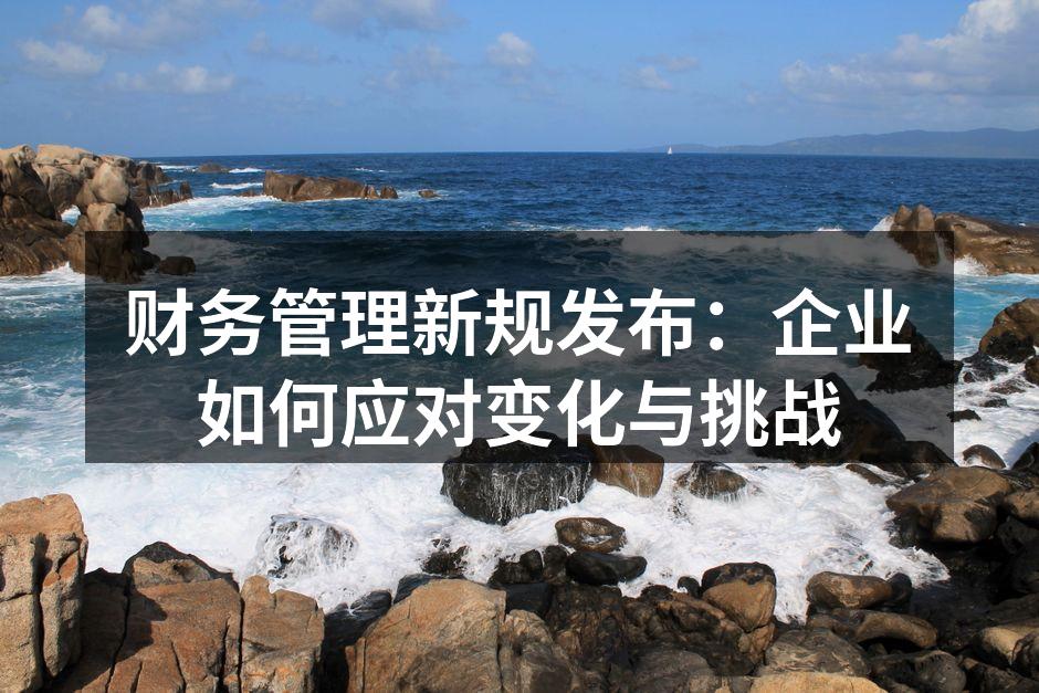 财务管理新规发布：企业如何应对变化与挑战